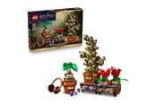LEGO® - LEGO Harry Potter 76474 Hogwarts™ växter för örtlära - 76474