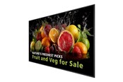 Digital skyltning & Hotell - Philips 98BDL5050D 5000 Series - 98" Class (97.5" viewable) LED-backlit LCD display - 4K - for digital signage - 98BDL5050D/00