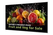 Digital skyltning & Hotell - Philips 86BDL5050D 5000 Series - 86" Class (85.6" viewable) LED-backlit LCD display - 4K - for digital signage - 86BDL5050D/00