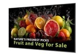 Digital skyltning & Hotell - Philips 75BDL5050D 5000 Series - 75" Class (74.5" viewable) LED-backlit LCD display - 4K - for digital signage - 75BDL5050D/00