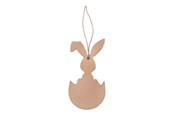 Konst- och hantverksmaterial - Colorations Decorate your own Easter pendants 6 pcs. - 46EN14