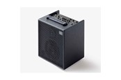 Musikinstrument & DJ-utrustning - Schertler David X-A Acoustic Amplifier - Anthracite - 200848
