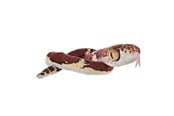 Plush - Wild Republic Plush Toy Snakes 137 cm Blunt Headed Imantodes Cenchoa - 28409