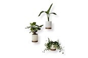 Decoration - Simiu Flower Pot Hiders For Wall - White/Mocha - 3 pcs - 8cm high - 5714255012118