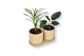 Decoration - Simiu TWINDA - Double Planter in beige and light olive - 8.5cm - 5714255012392