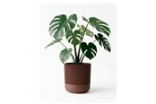 Decoration - Simiu GROWLOFT - Flower Pot Shelter With Drip Tray - Mocha - 8.2cm high - 5714255012132
