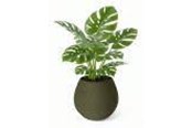 Decoration - Simiu KAPKA - Flower Pot Shelter With Self-Watering System - Olive - Ø:11.5 - 5714255012163