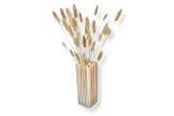Decoration - Simiu NORA - Vase - 21cm - 5714255012354