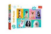 Pusselspel - Trefl Puzzle - In the world of dogs (100 pieces) - TFL16421