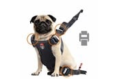 Hundar - Zolux Travel Safe Isofix Car Safety Harness Black Medium 14-26kg - 3336024621226