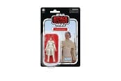 Figure - Star Wars Vintage 3.75" Figure Padmé Amidala - G26125X00
