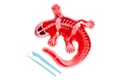 Utomhuslek - Simba Scout Dissect-It Salamander - 109452704
