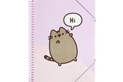 Pärmar - Pusheen - A4 binder with elastic band + 30 clear pockets - CFA405