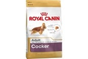 Hundar - Royal Canin Adult Cocker - dry dog food - 12 kg - 3182550811538
