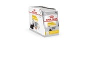 Hundar - Royal Canin Dermacomfort - Wet dog food - 12 x 85 g - 9003579008812