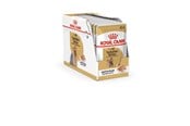 Hundar - Royal Canin Yorkshire Terrier Adult 12x85 g - 9003579001431