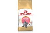 Katter - Royal Canin British Shorthair Kitten cats dry food - 3182550816533