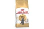 Katter - Royal Canin British Shorthair - dry cat food - 2 kg - 3182550756419