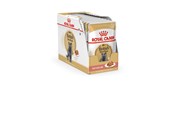 Katter - Royal Canin British Shorthair packet 12x85g - 9003579001240