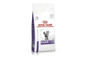 Katter - Royal Canin Dental - dry cat food - 1,5kg - 3182550722308