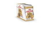 Hundar - Royal Canin Shih Tzu Adult Wet dog food Pâté 12x85 g - 9003579013694