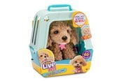 Plush - Little Live Pets - My Really Real Puppy - Curley - 26612