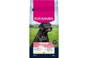 Hundar - Eukanuba Senior Large and extra large breeds Chicken - dry dog food - 15kg - 8710255202211