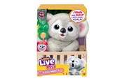 Lekset - Little Live Pets MY BABY KOALA - 26840