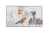 Digital skyltning & Hotell - LG 55EW5P-M 55" OLED display - Full HD - for digital signage - 55EW5P-M