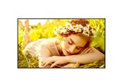 Digital skyltning & Hotell - LG 65UL5Q-E Signage Display - 65UL5Q-E