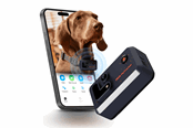 Hundar - Enabot | ROLA PetTracker-GPS Tracker for Pets  | Dark blue - WH287307B