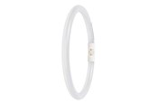 Glödlampor - Osram LED-glödlampa T5 Performance FC external 22mm 1550lm 11.6W/830 2GX13 - 4099854300806