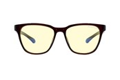 Spelglasögon - Gunnar Optiks Berkeley computer glasses - BER-10301