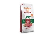 Hundar - Calibra Life Senior Large Fresh Beef - dry dog food - 12kg - 8595706701273
