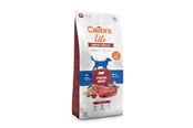Hundar - Calibra Life Senior Medium Fresh Beef - dry dog food - 12kg - 8595706701259