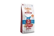 Hundar - Calibra Dog Life Adult Medium Fresh Beef - dry dog food - 12kg - 8595706701211