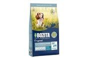 Hundar - BOZITA Original Sensitive Digestion Lamb and rice - dry dog food - 12kg - 7311030416321