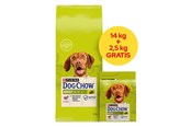 Hundar - PURINA NESTLE Dog Chow Adult Lamb - dry dog food - 14 + 2.5kg - 8445291654679