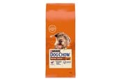 Hundar - PURINA NESTLE Dog Chow Mature Senior with lamb - dry dog food - 14 kg - 7613287575456