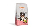 Hundar - Calibra Premium Line Junior Large Chicken - dry dog food - 12kg - 8594062088905