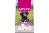 Hundar - Eukanuba Premium Nutrition Puppy Large & Giant Breed Chicken - dry dog food - 18kg - 8710255205045
