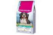 Hundar - Eukanuba Special Care Adult Dogs with Sensitive Joints – dry dog food – 12 kg - 8710255196169