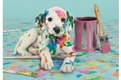 Pusselspel - Clementoni Puzzle HQC The Funny Dalmatian 500 pieces Golv - 35150