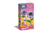 Kreativa spel - Clementoni Create Your Flowers Anemone - 18346