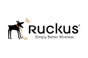 Tjänster och support - Ruckus Wireless Ruckus BullDog Support - S24-VSZD-1LUL