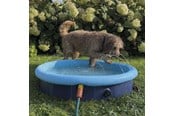 Hundar - Nobby 2 i 1 Splash-Pool Ø 160 cm - L62299