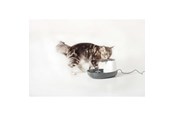Katter - Nobby Drikke fontæne Cascade 1.5 L - L72144