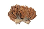 Fågelmat, snacks och vitaminer - Hobby First Røde hirsekolber 25 kg - 0599