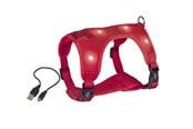 Hundar - Nobby Seletøj Flash Mesh L Rød - L80752-01