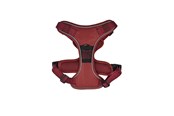 Hundar - 51 Degrees North 51 - Wanderful - H Harness - Trail - Burgundy - XS - 51AWFHT202